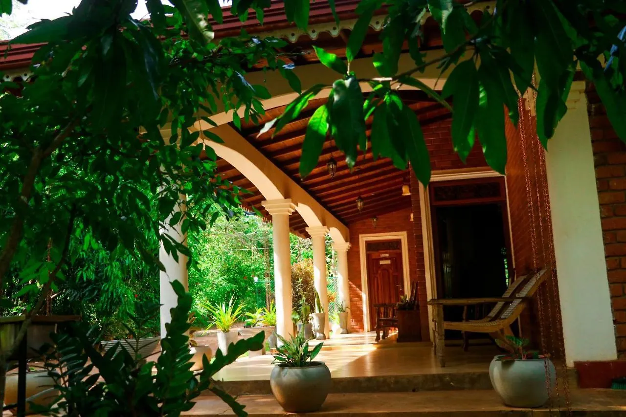 Tikuhut Hostel Sigiriya